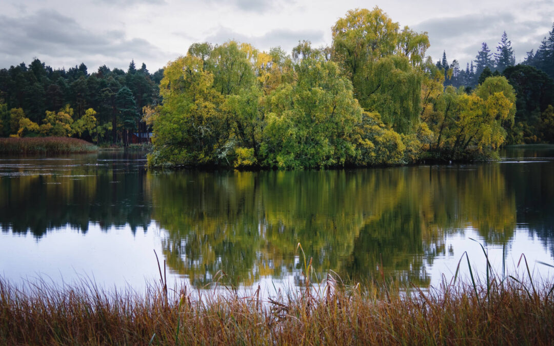 Mental Health Benefits of Photographing in Nature