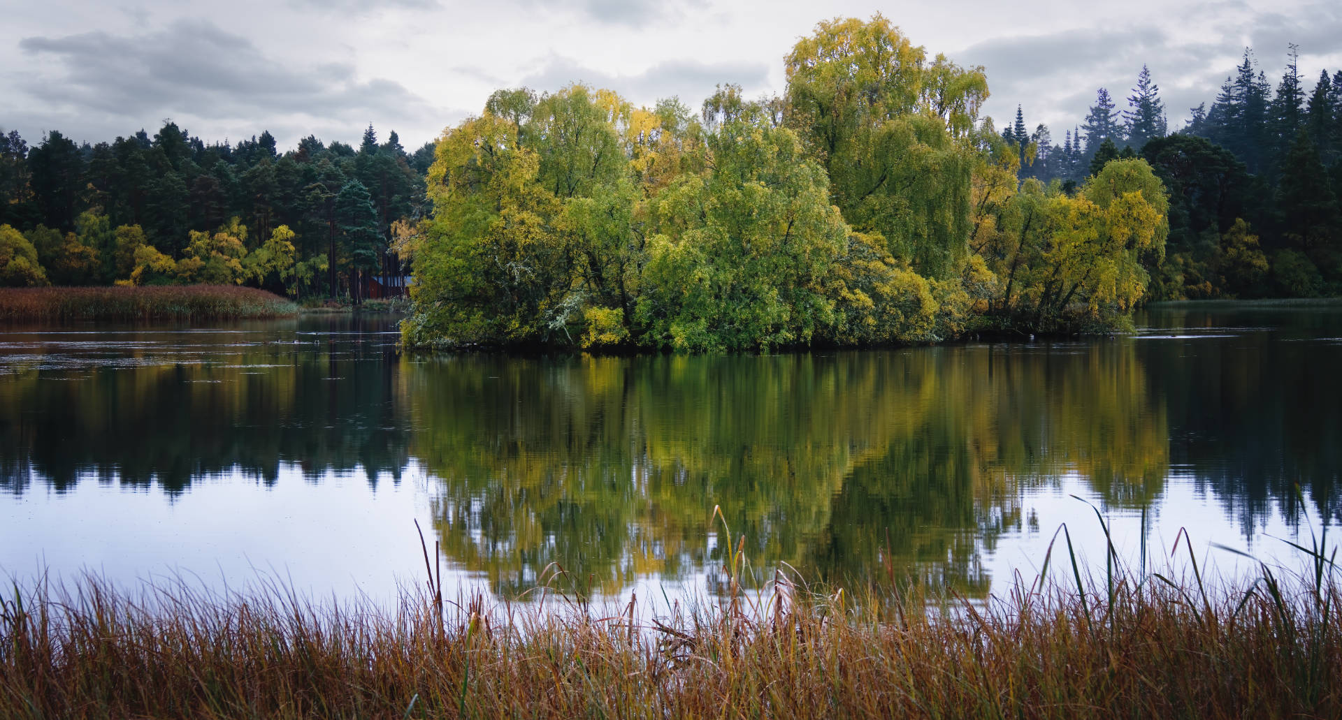 Mental Health Benefits of Photographing in Nature